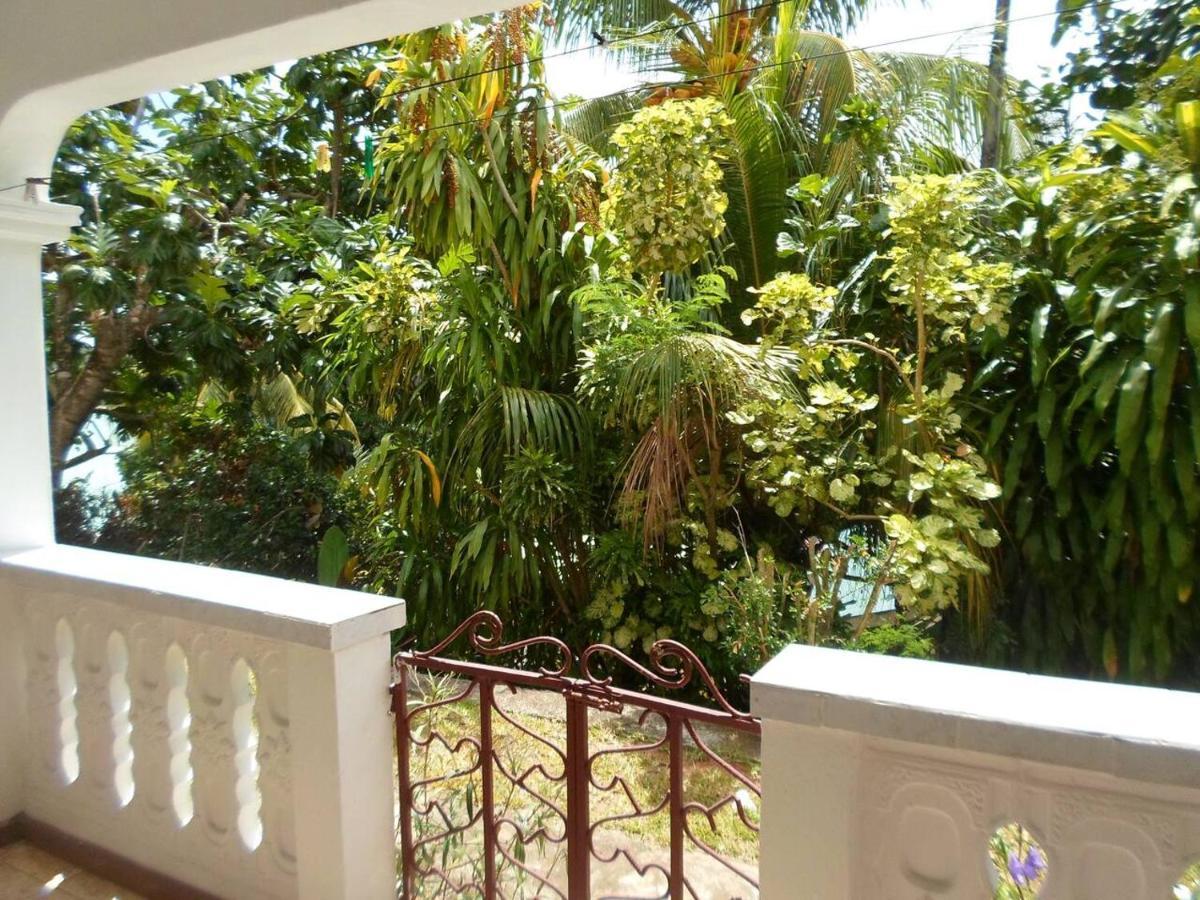 Апартаменты Gigi's Self Catering *